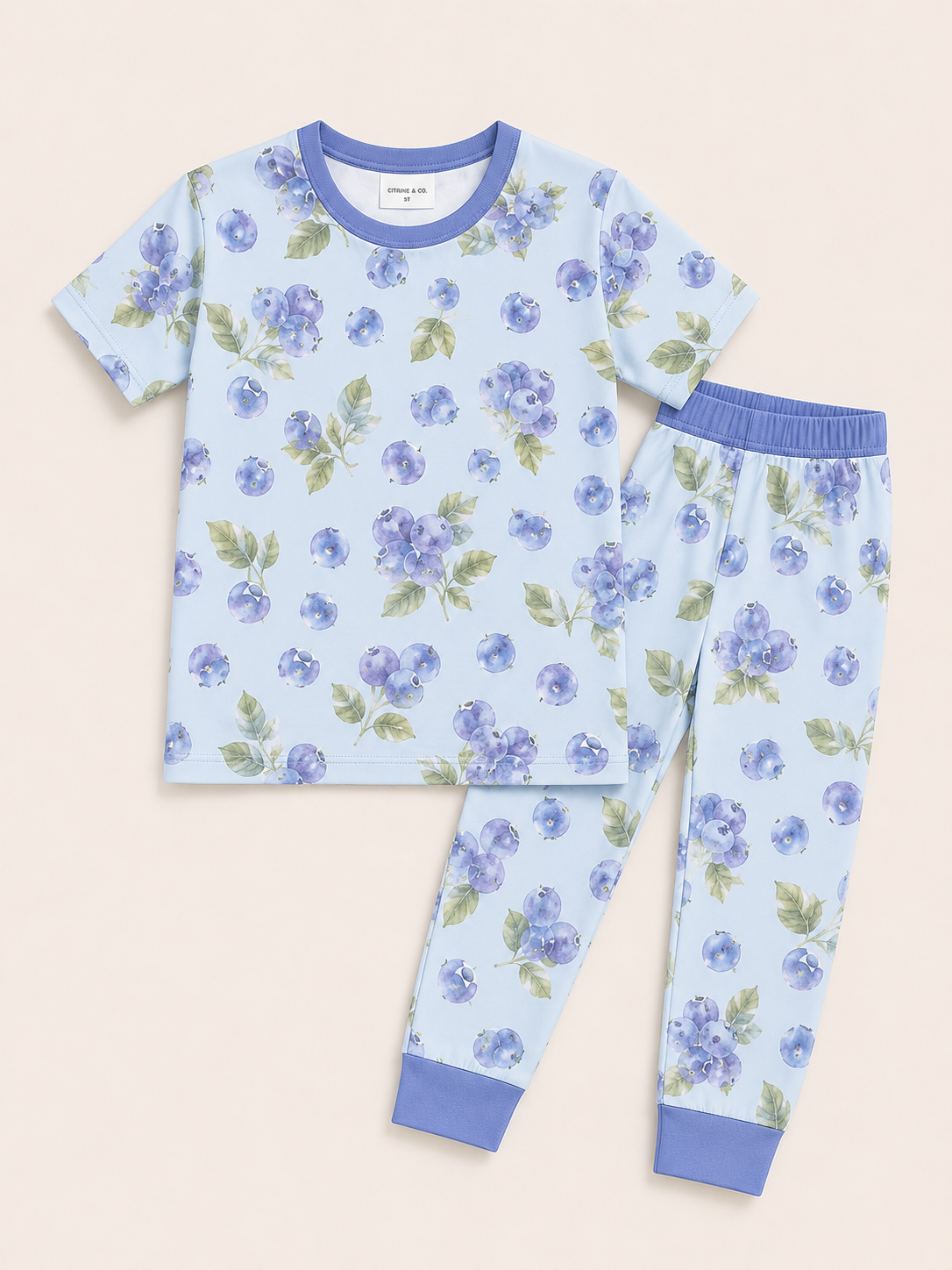 Blueberry Bushel