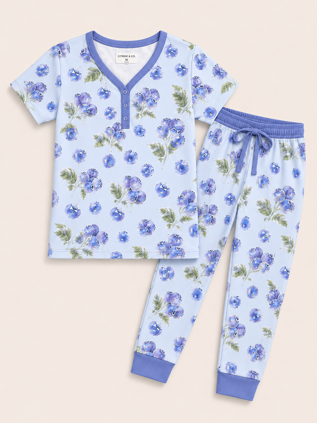 Blueberry Bushel
